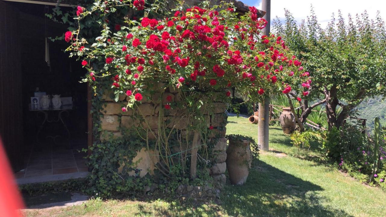 San Noto Antica Residenza Di Caccia Bed and Breakfast Ficarra Εξωτερικό φωτογραφία